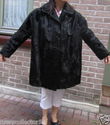 To add this item in your Shopping Cart drag and drop this picture there