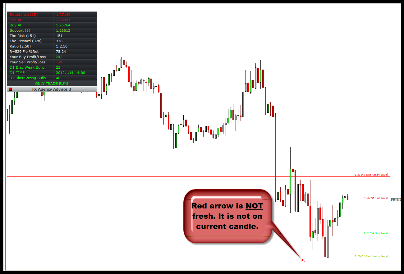 forex price action signal service