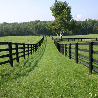 HOW TO INSTALL ELECTRIC PORTABLE HORSE FENCING