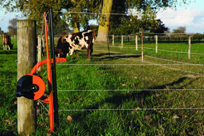 HOW TO INSTALL A CHEAP ELECTRIC HORSE FENCE: A STEP-BY