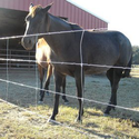Gallagher | 4 Strand Electra-Lock Fencing