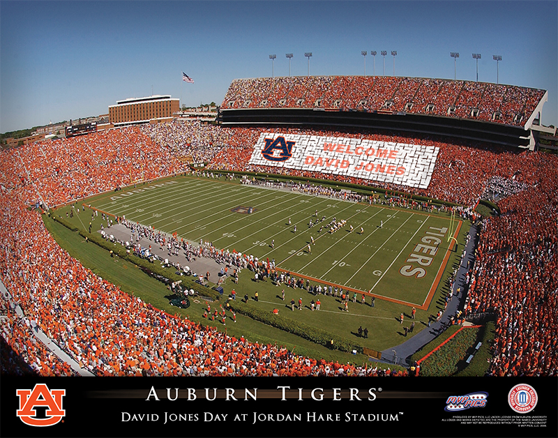 NCAA Auburn University Tigers Football Stadium Custom 11 By 14 Art ...