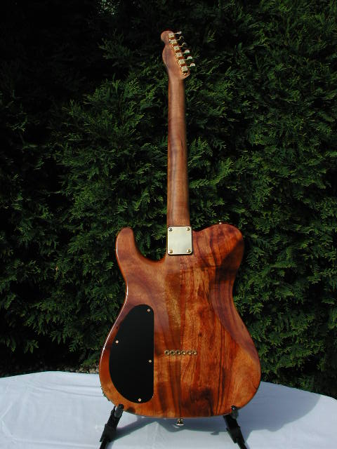 DCOTeles010.JPG