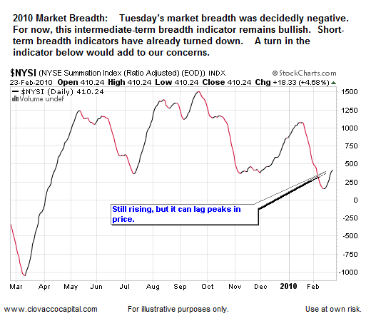 Market Concerns FEB 2010