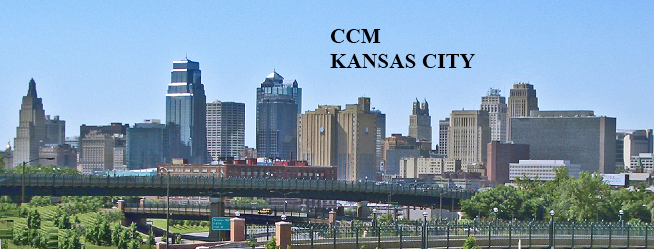 Kansas City Money Manager, Kansas City Financial Advisor, Kansas City Financial Planner