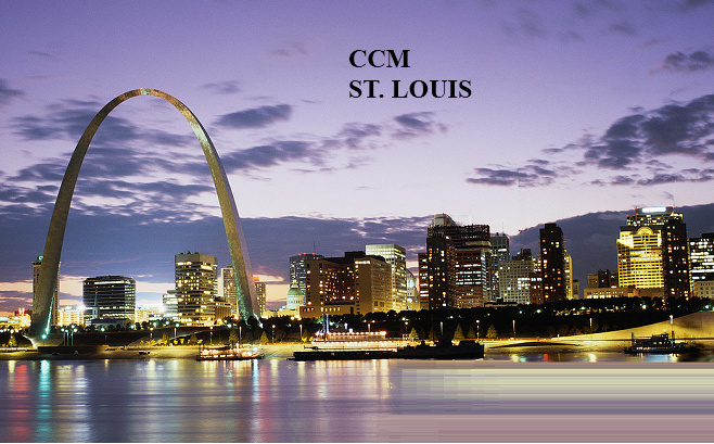St Louis Money Manager,St Louis Financial Advisor, St Louis Financial Planner