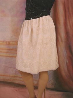 $2400 DEREK LAM Cream Silk Embroidered Lace Skirt 42 6