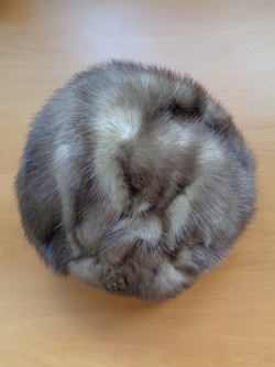 Image Hosting by Vendio