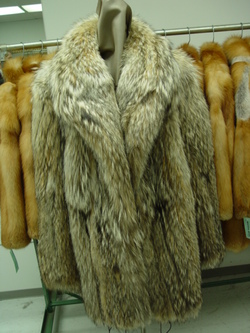BRAND NEW COYOTE FUR COAT JACKET WOMEN MEN