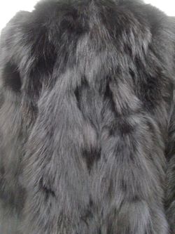 Image Hosting by Vendio