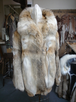 NEW COYOTE FUR JACKET COAT FOR MEN SZ 42/44