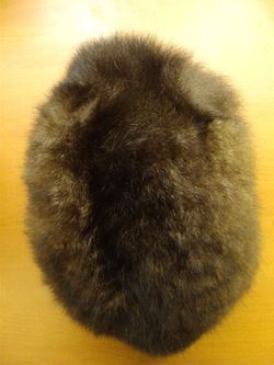 Image Hosting by Vendio