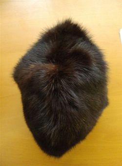 Image Hosting by Vendio