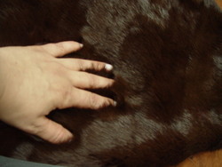 BRAND NEW REVERSIBLE RABBIT FUR PLATE, BLANKET, THROW