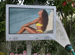 Image Hosting by Vendio