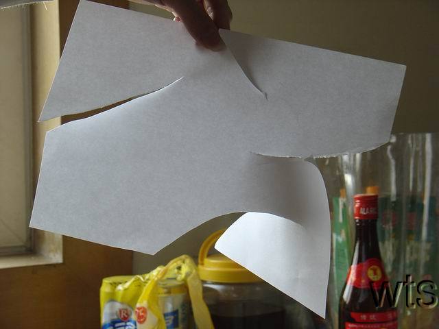 Image Display Failed