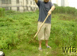 Image Display Failed