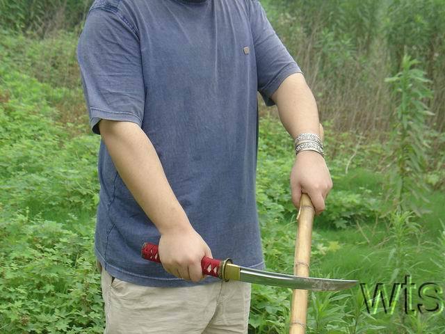 Image Display Failed