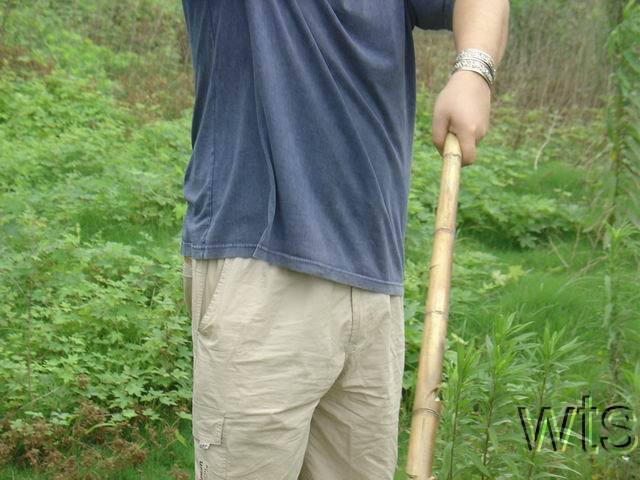 Image Display Failed