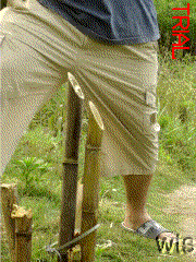 Image Display Failed