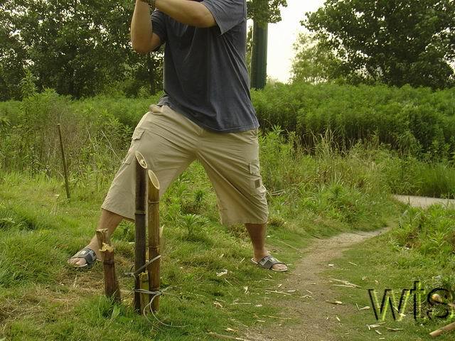 Image Display Failed