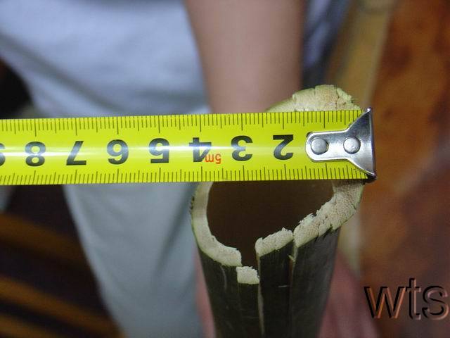 Image Display Failed