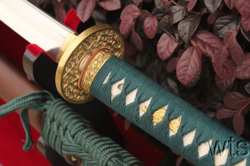 Image Display Failed