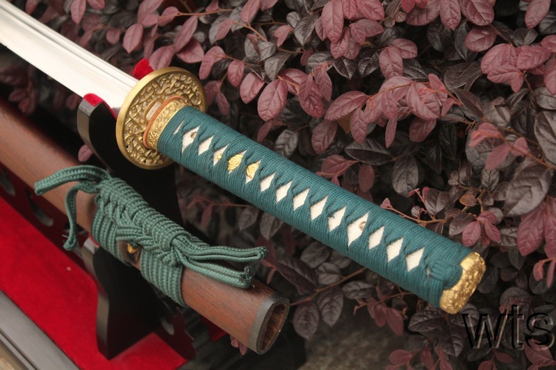 Image Display Failed