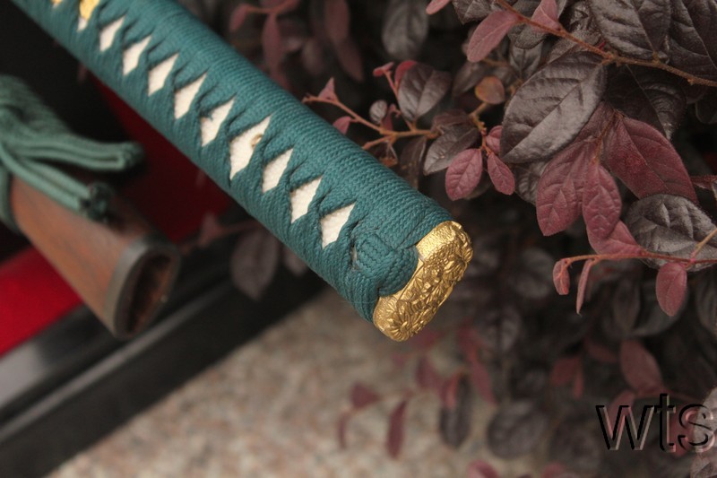 Image Display Failed