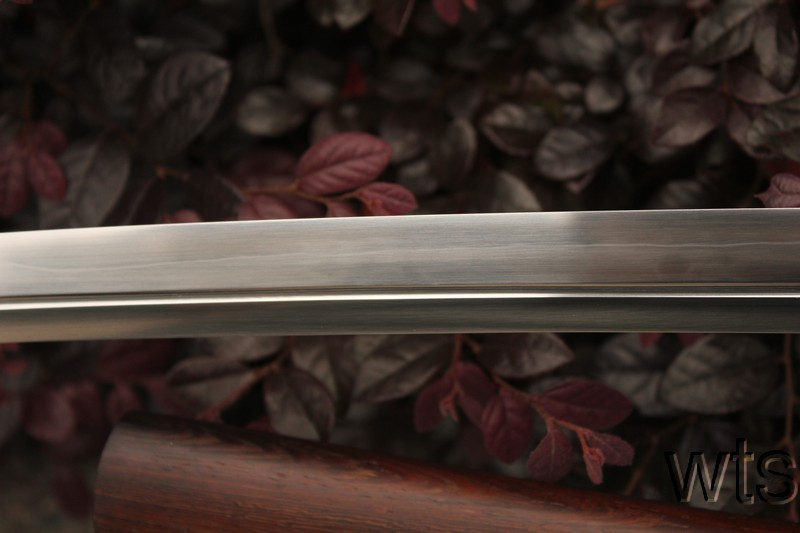 Image Display Failed