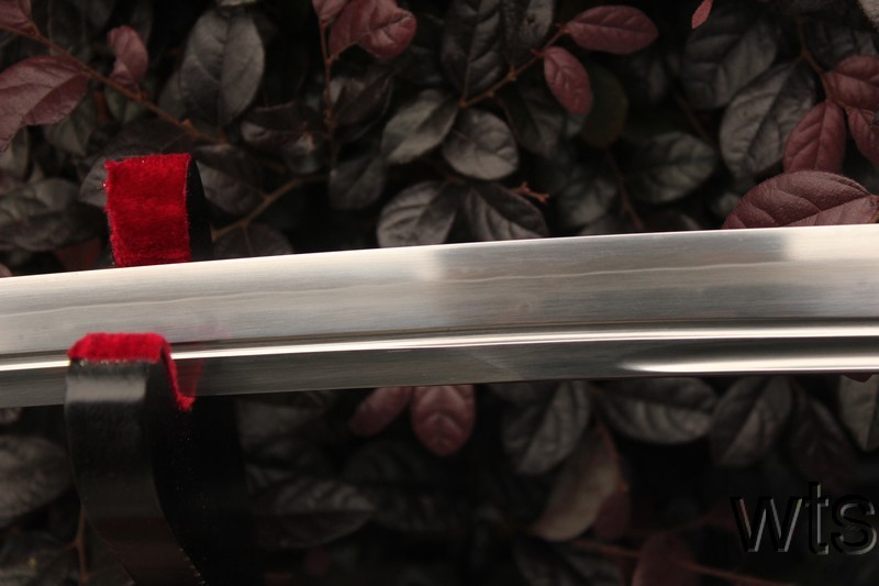 Image Display Failed