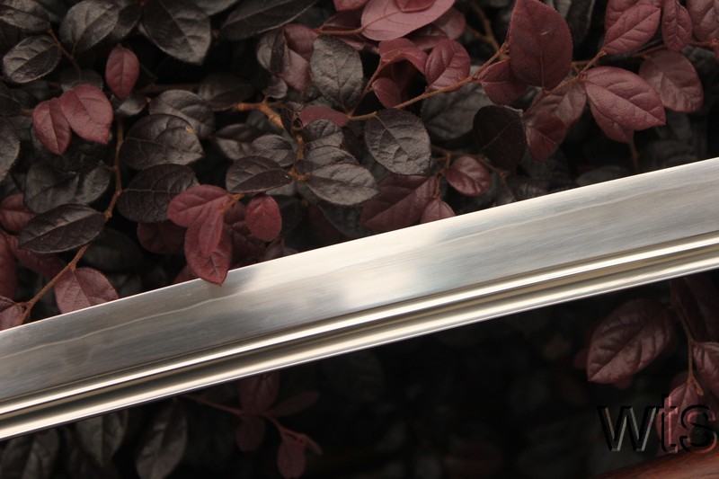 Image Display Failed