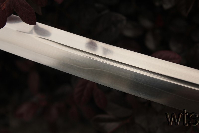 Image Display Failed