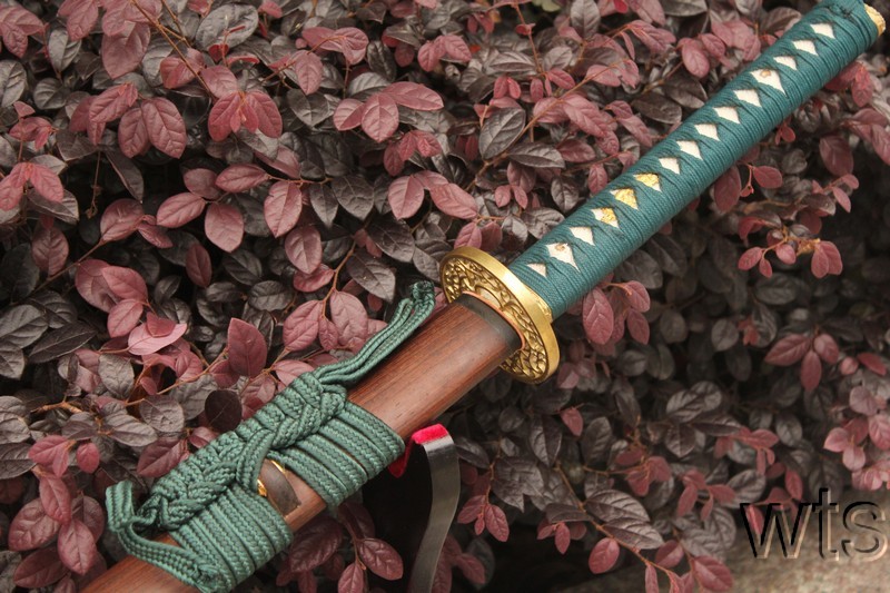 Image Display Failed