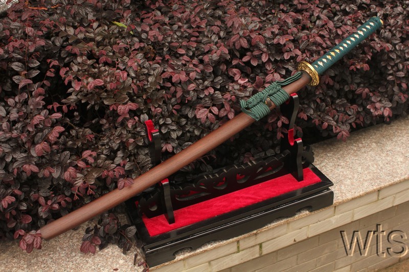 Image Display Failed