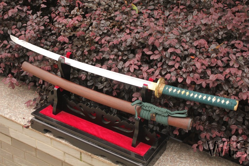 Image Display Failed