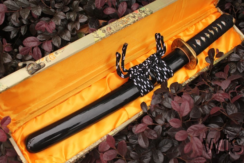 Image Display Failed