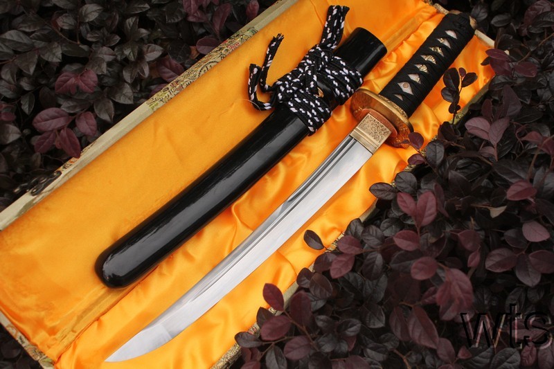 Image Display Failed