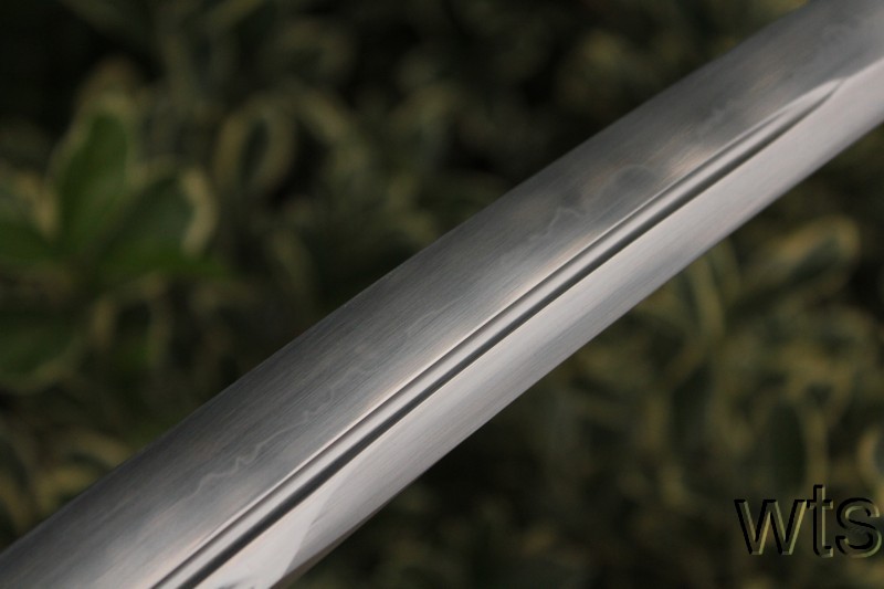 Image Display Failed