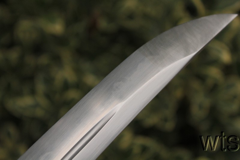 Image Display Failed