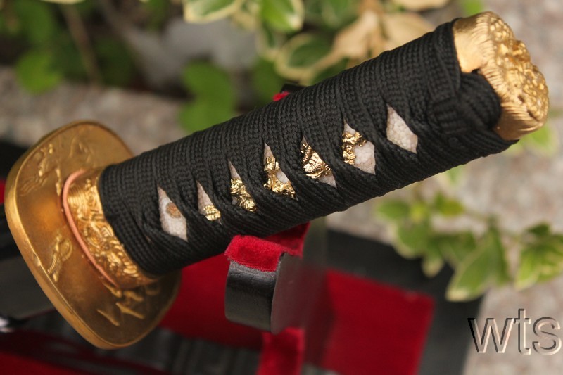 Image Display Failed