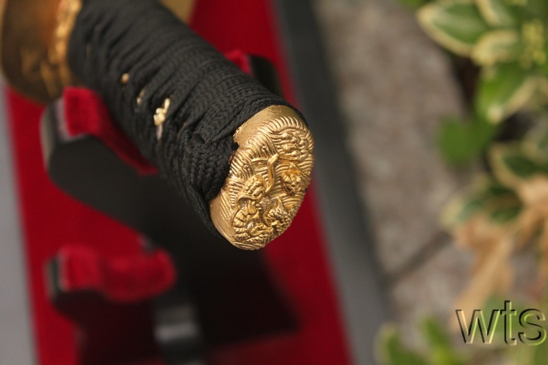 Image Display Failed