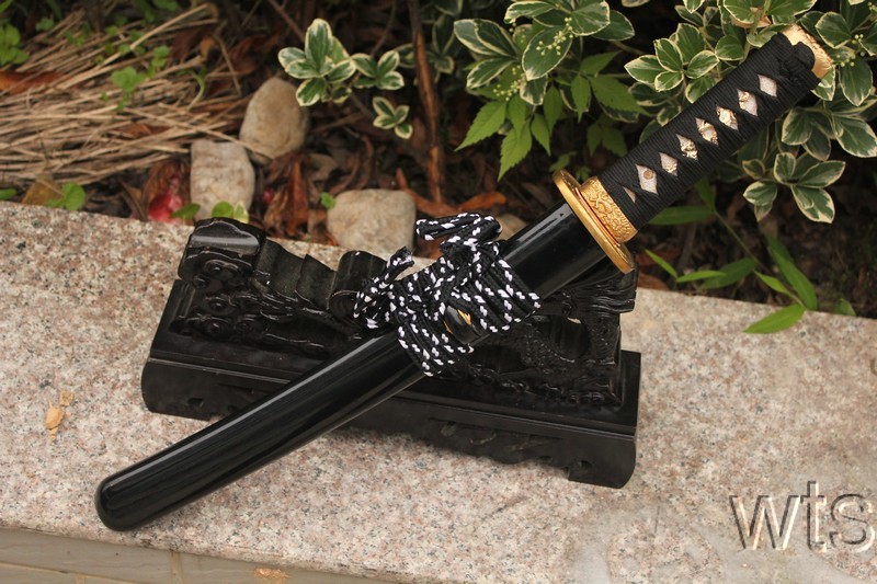 Image Display Failed