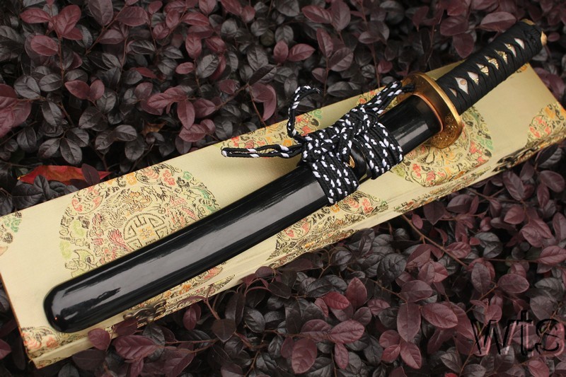 Image Display Failed