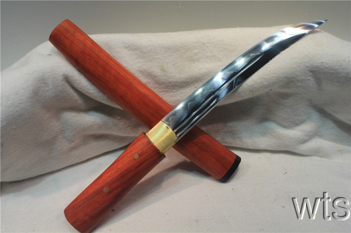 Image Display Failed