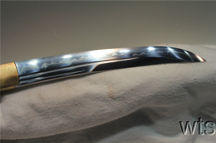 Image Display Failed