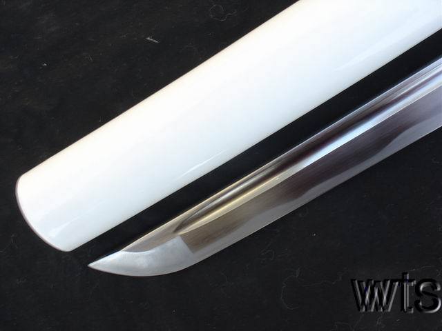 Image Display Failed