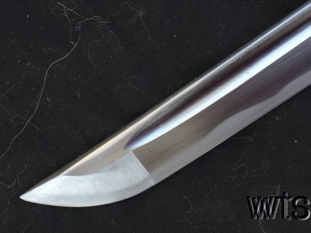 Image Display Failed