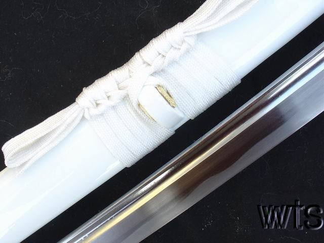 Image Display Failed