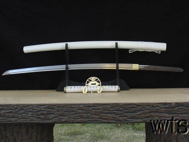 Image Display Failed